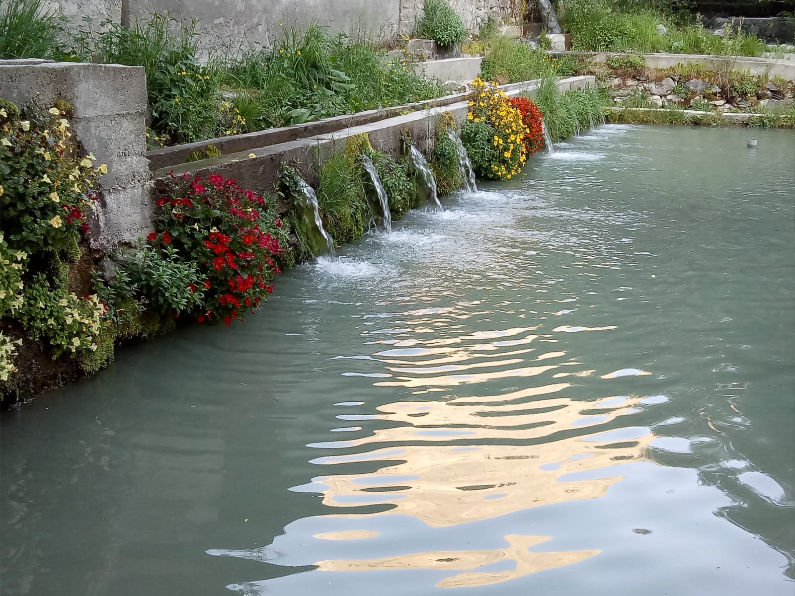 Fish Ponds View